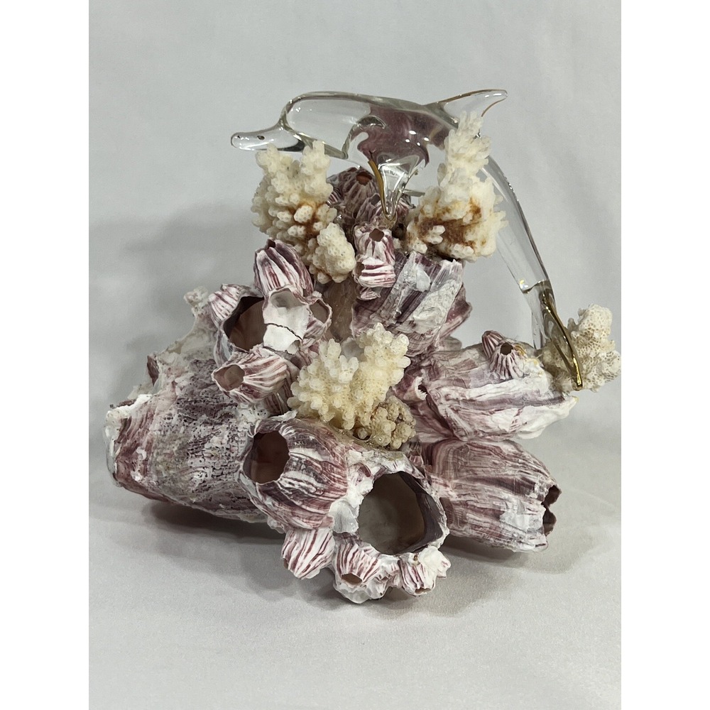 Glass Dolphin Figurine on Natural Purple Barnacle and White Coral Cluster 7x4x5